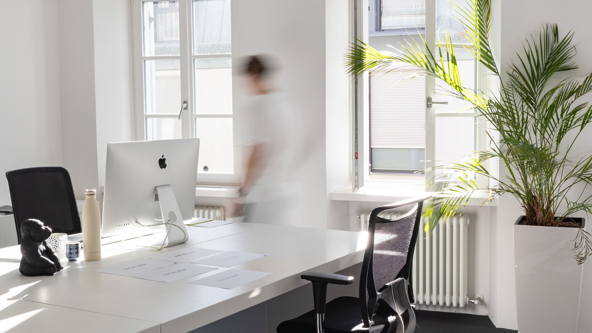 Studio von Brandgorillas